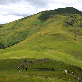 Ali Bedni Bugyal Trek - Explore thrilling mountain treks with TrekUpTour. Discover nature, adventure, and unforgettable experiences with expert-guided trekking tours.