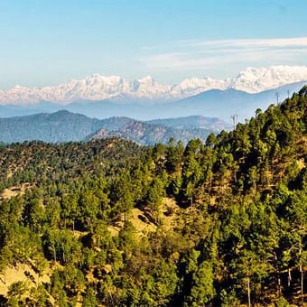 Binsar Weekend Trek - Explore thrilling mountain treks with TrekUpTour. Discover nature, adventure, and unforgettable experiences with expert-guided trekking tours.