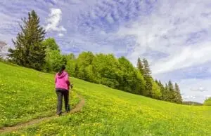 Valley of Flower Trek