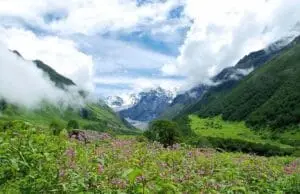 Valley of Flowers Trek