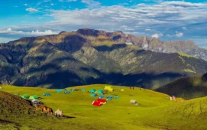 Vibe The Trek Ali Bedni Bugyal Trek A Complete Guide to the Ultimate Himalayan Adventure - Explore thrilling mountain treks with TrekUpTour. Discover nature, adventure, and unforgettable experiences with expert-guided trekking tours.