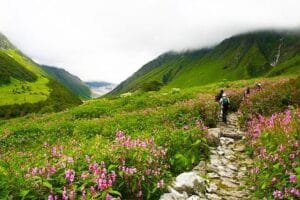 Valley of Flowers Trek